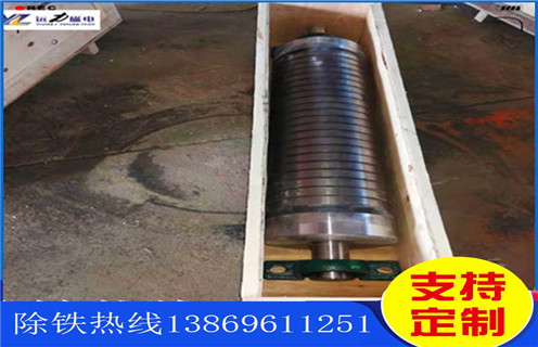 新疆TLGP-1220濕式強磁香蕉视频APP下载參數